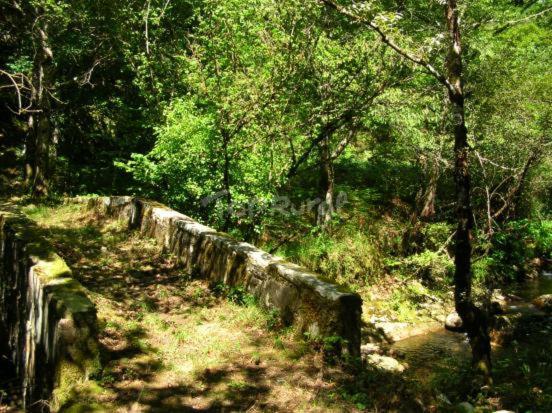 Apartamento La Corrada Santa Eulalia de Oscos Dış mekan fotoğraf