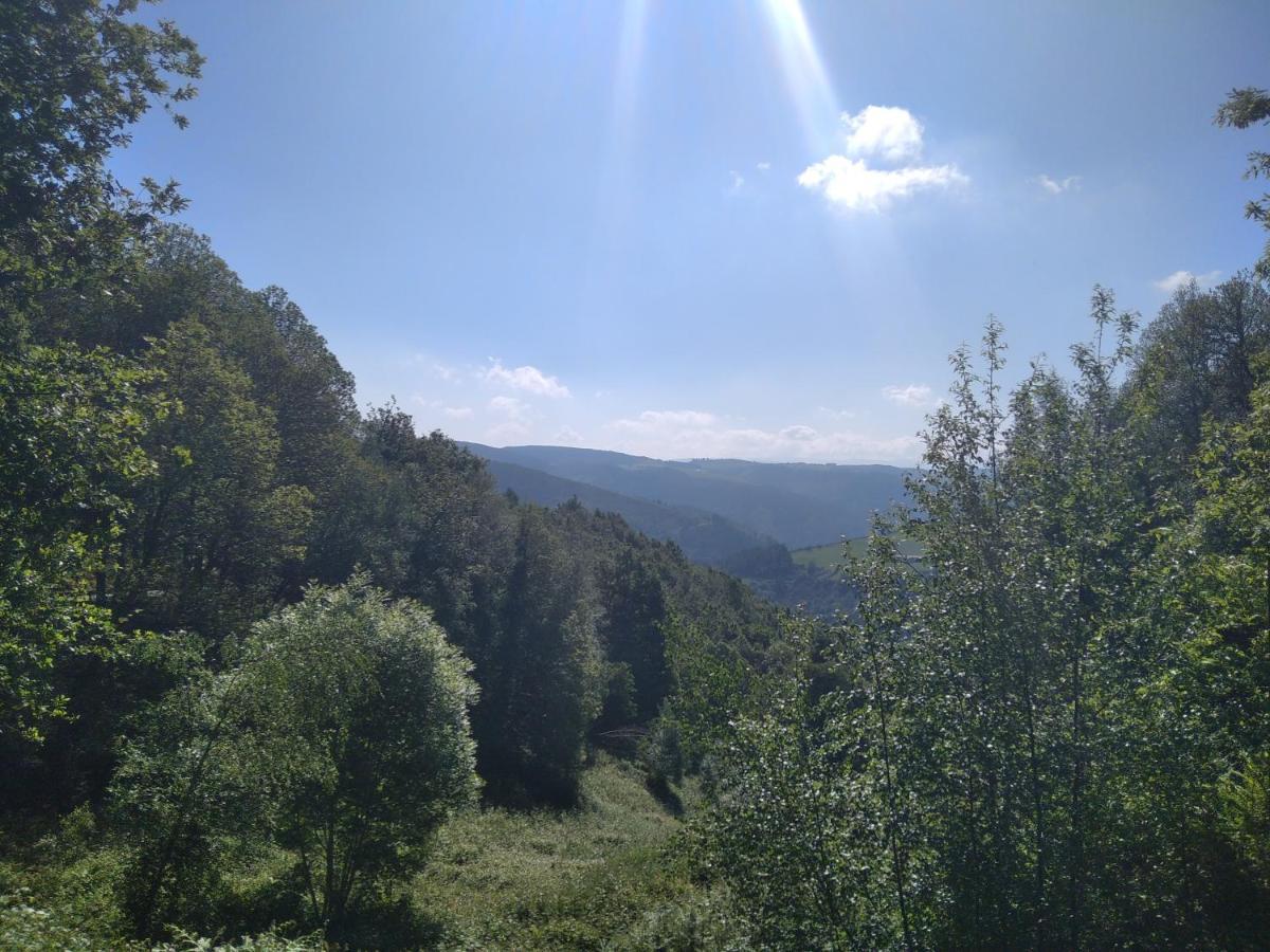 Apartamento La Corrada Santa Eulalia de Oscos Dış mekan fotoğraf